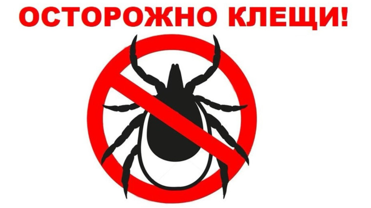 Территориальный отдел Управления Роспотребнадзора по Красноярскому краю в г.Минусинск - ИНФОРМИРУЕТ!!. Территориальный отдел Управления Роспотребнадзора по Красноярскому краю в г.Минусинск - ИНФОРМИРУЕТ!!.
